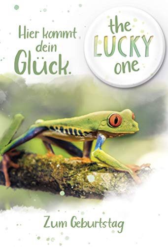 KE - Humorvolle Geburtstagskarte DIN B6, Inklusive Button & Umschlag, Klappkarte 176x125mm - Motiv Frosch