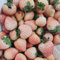 80 pièces de graines de fraises