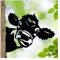 CCWORAN Ornements De Jardin De Vache en Métal pour Clôtures Décorations en Plein Air Maison Vache Animaux Jardin Décor Sculptures Rouillé Fonte Silhouettes Arbre Cour Mur Art Cadeau Cow2