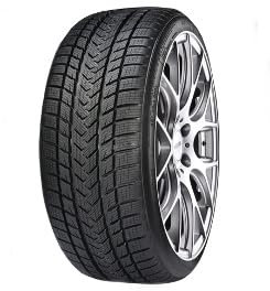 Gripmax 305/30 R21 104V XL Winterreifen M+S 3PMSF Reifen