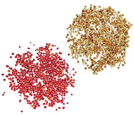 Yardwe Grava Decorativa Para Plantas De Interior y Acuarios 500g 2 Pack Arena De Fondo Coloreada Grava De Río y