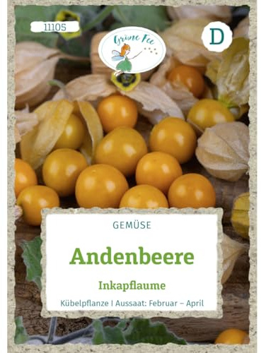 Grüne Fee - Andenbeere Inkapflaume Samen - 11105