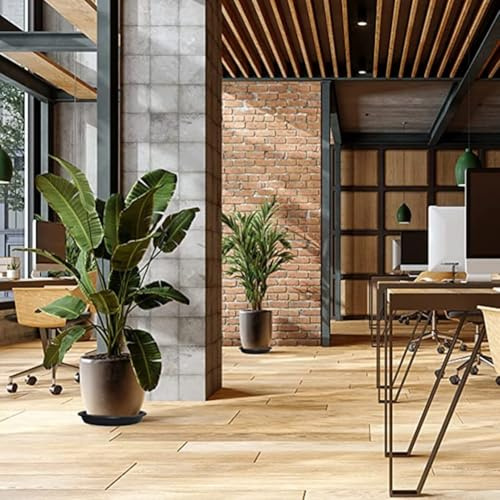 2 bandejas redondas para plantas suculentas hechas de plástico PP robusto para recoger el exceso de agua y tierra en jardinería interior (6 pulgadas)