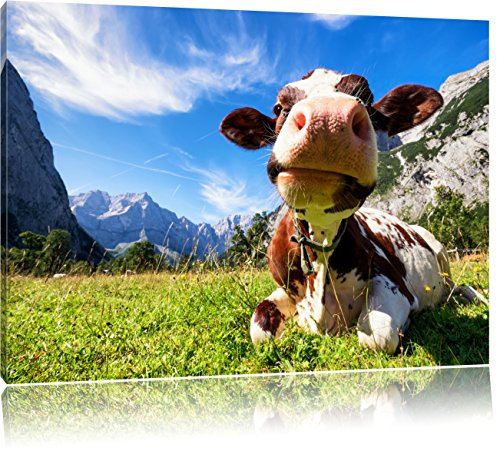 Pixxprint Kuh im Karwendelgebirge, Größe: 80x60cm, Leinwandbild, fertig gespannt, Wandbild, Dekoration, Kunstdruck, kein Poster