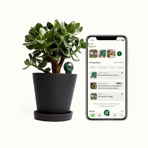 FYTA Beam Smarter Pflanzensensor - Misst Wasser, Temperatur, Licht, Düngebedarf - Pflanzen Feuchtigkeitsmessgerät, Bodenfeuchtesensor, Temperatursensor, Gießanzeiger Zimmerpflanzen - iOS Android App