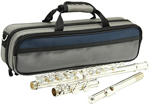 Flöte Anfänger Profi Querflöte Einsteiger 16 Versilberte C-Flöte Mit Geschlossenen Löchern (Color : Cloth)