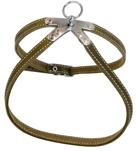JACK AND VANILLA, Ergonomisches Geschirr aus grünem Fettleder für Tiere, verstellbar für optimalen Komfort, ideal zum Gehen, Maße 10 x 35 cm, Ledermodell