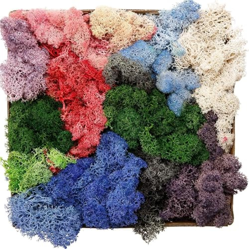 Preserved Reindeer Moss 200g Natural Decoration Lichen Artificial Dried Moss for Craft Wedding Fairy Garden Wall Decor Plants Flower, Mixed Colour