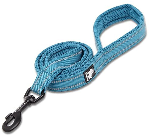 Truelove Reflective Padded Nylon Dog Training Lead, Blue, M(200cm) | Alloy Swivel Hook, Ergonomic Padded Grip, Tear Resistant Webbing, Reflective Night Strap, All Dog Breeds, Walking & Training
