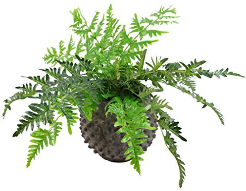 Leaf Hoja 50 cm Planta perenne Artificial, Olla de plástico Negro, Helecho Frontal (LEAF-7145)