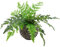 Leaf Hoja 50 cm Planta perenne Artificial, Olla de plástico Negro, Helecho Frontal (LEAF-7145)