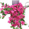 Gladiolus garden 10pcs Silk Bougainvillea Grabble Tree Branch Faux Climbing Design Bougainvillea Spectabilis Flower Stems for Wedding Centerpiece Floral Decoration (deep pink)