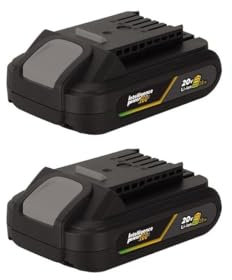 VITO - Lot de 2 Batteries Lithium 20V 2Ah Gamme sans Fil 20V Jardin et Electro portatif