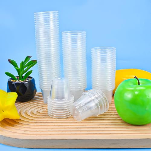 SLTAXAR 100 Stück Schnapsgläser Plastik Schnapsbecher 4cl/ 40ml Shotgläser Plastik Stamperl 4cl Plastikbecher Schnaps Transparente Shot Becher Plastik 3cl Trinkbecher Kurz für Party Spaß Hochzeiten