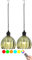 Battery Operated Pendant lights with Remote Set of 2,Outdoor Rechargeable Battery Powered Chandelier Waterproof,Mini Glass Green Tulip RGB Color Hanging Light Fixture for Gazebo Pergola Porch Patio(Gr