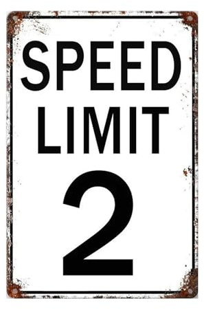 Two Fast Birthday Decorations – 20 x 30 cm, cartello vintage con limite di velocità per il 2° compleanno, divertenti cartelli in metallo, decorazioni per auto da corsa, poster artistico da parete per