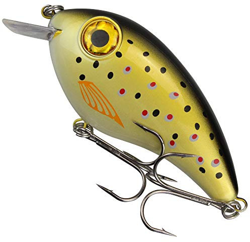 Fishing Tackle Max Unisex – Erwachsene 10C8900175C10 FTM PIKEBOMB-Wobbler Farbe: Trout 10cm/44g aus dem SEIKA Pr-Programm, Bunt, Normal