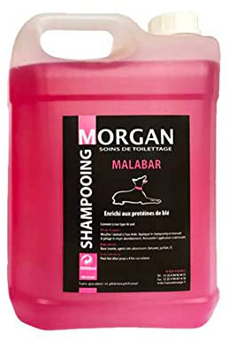 Morgan Shampoing Protéiné Malabar Volume 5 L pour Chien