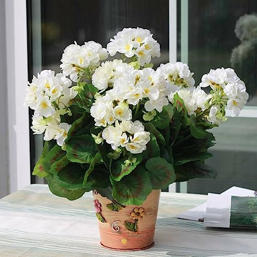 100 Stück Pelargonium-Samen, Geranien-Blumengarten, Balkon, Bonsai, Topfpflanze, Dekor, Blume, Obstbaum, Gemüsesamen Weiß Geraniensamen