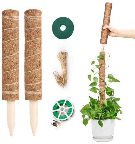 KINGLAKE 2 Stück 40CM Rankhilfe Monstera Erweiterbar, Kokosstab Monstera, Stab für Monstera mit Zubehör, Moosstab Kletterpflanzen-Mit 2m Pflanzenbinder Klett, 30m pflanzendraht und 10m Juteschnur