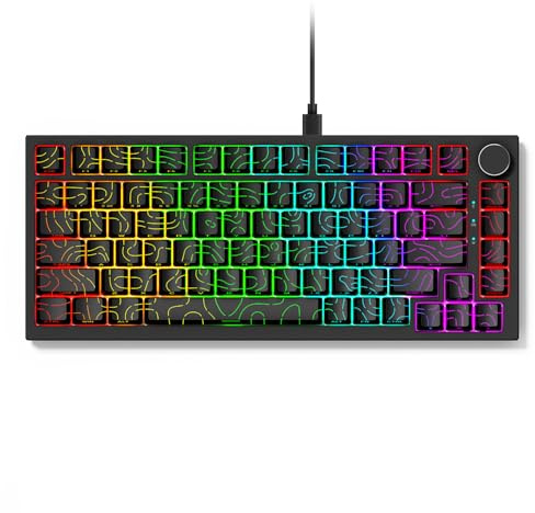 Qisan Kabelgebundene mechanische Tastatur, Gaming-Tastatur, Outemu-Schalter, 82 Tasten, US-Layout, RGB-Hintergrundbeleuchtung, seitlich gravierte Charakter-Tastenkappen, Schwarz