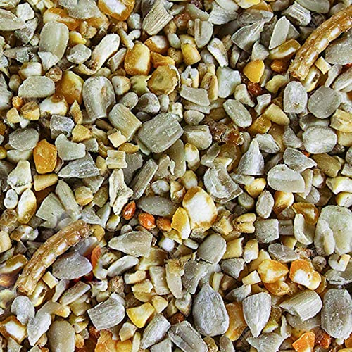 GardenersDream Robin & Songbird Mix | Nutritious Wild Bird Food for Garden Birds | Free of Husks & Germinating Seeds | Premium Quality Source of Protein and Energy | Year-Round Feed Mixture (5kg)