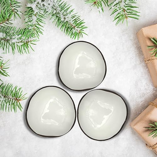 Love Coco Set of 3 White Coconut Bowls with Free Spoons - Polished Coconut Shell Bowls for Smoothies, Salad, Fruits - Eco-Friendly Acai Bowls for Cereals with Food Safe Lacquer Inside - Vegan Gift Set