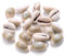 50 Stück Natürliche Muschelschale Perlen, Weniger als 16 mm Deko Muschel Perlen mit Loch Bastelnmuscheln für DIY Schmuckherstellung Haarschmuck,Muscheln zum Auffädeln,Muscheln zum Basteln,Grau