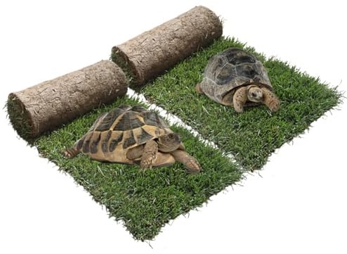 Ricarica XL Tartarughe PetZolla 100x90cm - Terrario tartarughe di terra in vero prato naturale, Ricambio facile da sostituire per il Kit XL, casetta per tartarughe da interno dura 5 mesi