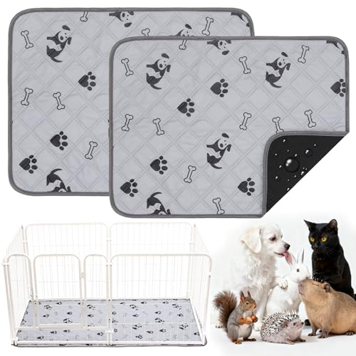 HOZKUY 2 Stück PIPI Pads 60x45cm für Meerschweinchen, wasserdichte & rutschfeste Unterlage mit 4 Lagen, super saugfähige, waschbare Wiederverwendbare Kleintiermatten für Hamster, Kaninchen, Welpen