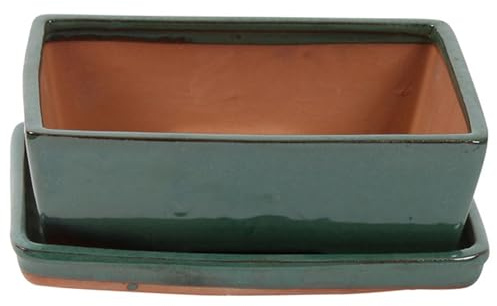 Bonsai Pot with Saucer - Rectangular 25cm Teal Green - Perfect for Bonsai Trees and Succulents