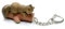 Miniblings Eichhörnchen Schlüsselanhänger Klettertier Kinder Hörnchen Tiere Braun mit Stamm - Handmade Modeschmuck I Anhänger Schlüsselring Schlüsselband Keyring