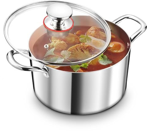 TEAMFAR Kochtopf Groß 26cm, 3-Lagen Edeastahl 6,6L Topf mit Glasdeckel für alle Herdarten, Suppentopf Induktion, Edelstahl poliert & Unbeschichtet