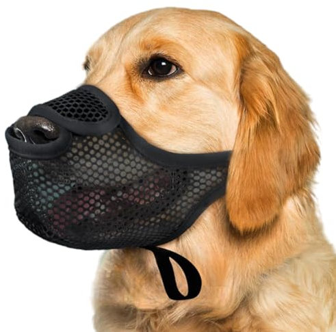 Fressschutz Hund, Maulkorb Mittlere Hunde, Giftköderschutz Hund für Spaziergänge & Training, Maulkorb für Große Hunde Atmungsaktiv und Verstellbar zur Biss- und Fresskontrolle