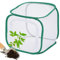 Mesh Gewächshaus, Pop-Up Pflanzenschutz, Gartenschutz Transparenter Käfig Für Balkon Gemüse Früchte Heidelbeersträucher Orangerien