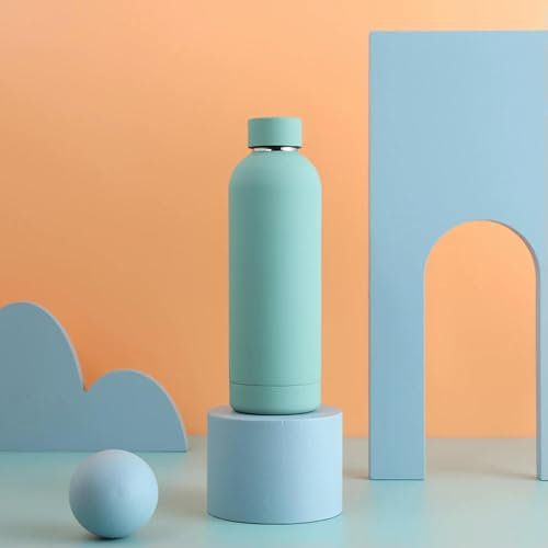 shwta Vaso aislado de acero inoxidable de 500 ml, doble pared, para mantener el frío, para gimnasio, termo al vacío