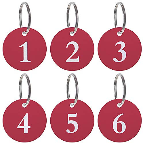 Aspire Lot de 50 Porte Étiquettes Clés, Porte-clés numérotés en alliage d'aluminium pour casier de porte