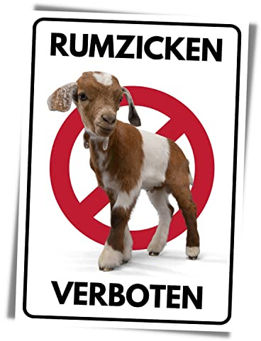 Rumzicken verboten Schild lustig Hinweis Verbotszeichen Frau Teenie Sign Hinweisschild Warnschild