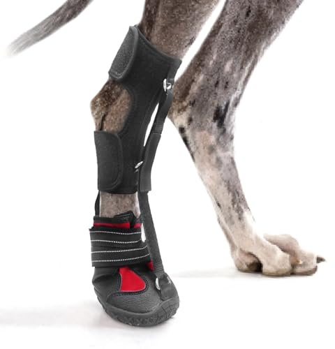 Strap-On Drop Foot Brace (No Knuckling Boot Brace) for Dogs— Corrective Dog Shoes to Safely Lift Toes for Foot Issues, Arthritis, and improving Walking gait in Dogs, Patent Pending(XL)