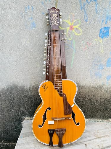 Pro-Grade Acoustic-Electric Indian Mohan Veena Slide Guitar in Red Cedar & Spruce. Original Chaturangui Side Taraf Design withj Optional Fiberglass Case