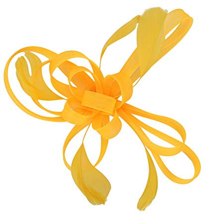 Braut Fascinator Schleier Kopfbedeckung Damen Mädchen Haar Clip Elegant Accessoire Cocktail Tea Party Haarklammer Kopfschmuck 20er 50er Jahre Stirnband Haarnadel Haarschmuck Kirche Hochzeit