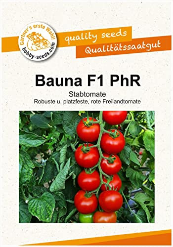 Tomatensamen Bauna F1 PhR Salattomate