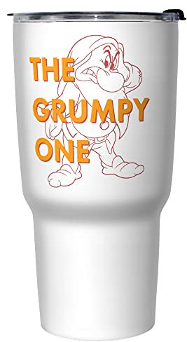 Disney One Grumpy Dwarf 27 oz Stainless Steel Insulated Travel Mug, 27 Ounce, Multicolored
