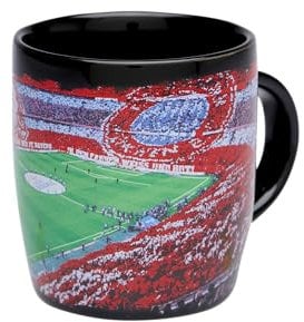FC Bayern München I Tasse Arena| 0,3l I Fußball