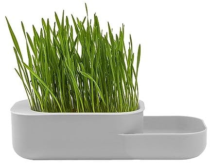 Rianpesn Cat Grass Box | Hydroponic Cat Grass Grower - Sprouter Tray Cat Food Tray, Leak-Proof Planting Box Container for Cats Kittens