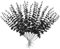 Toripor 20 Stück Künstliche Eukalyptus Zweige, 38CM Fake Eukalyptus Pflanze Blumendeko, Künstliche Pflanzen Trockenblumen Deko für Hochzeit Party Zuhause Garten Tisch Blumen Vasen - Schwarz