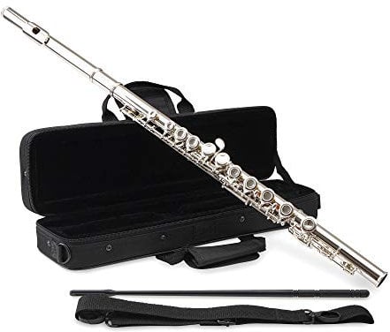 Classic Cantabile FL-100 Querflöte (Tolles Einsteigerinstrument, komplett aus vernickeltem Neusilber, geschlossene Klappen, E-Mechanik, vorgezogenes G, C-Stimmung, inkl. Etui, Zubehör) Silbern