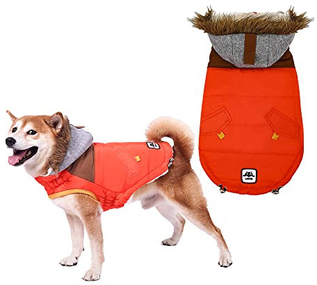 Hundemantel für Kleine Hunde, Wasserdichter Warmer Hund Wintermantel, Hundejacke, Hunderegenmantel Wasserdicht Grosse Hunde, Regenmantel Hund für Große Mittelgroße Kleine Hunde (Orange, XS)