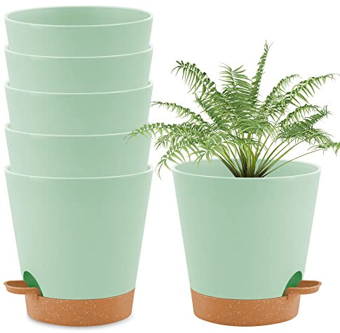 wintfarm Lot de 6 pots de fleurs ronds en plastique avec système d'arrosage à auto-irrigation avec soucoupe, pour intérieur et balcon, plantes grasses, cactus (16,5 cm, vert)