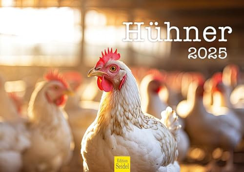 Edition Seidel Premium Kalender Hühner 2025 Format DIN A3 Wandkalender Tierkalender Hühnerkalender Haustiere Huhn Hahn Kücken Vögel